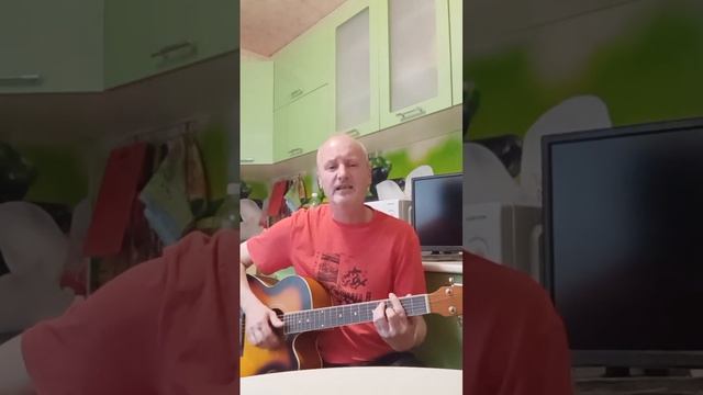 С. Трофимов - Снегири - кавер смотреть онлайн