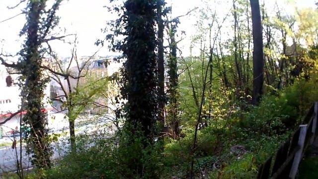 Rollei Bullet Youngstar | Review смотреть онлайн