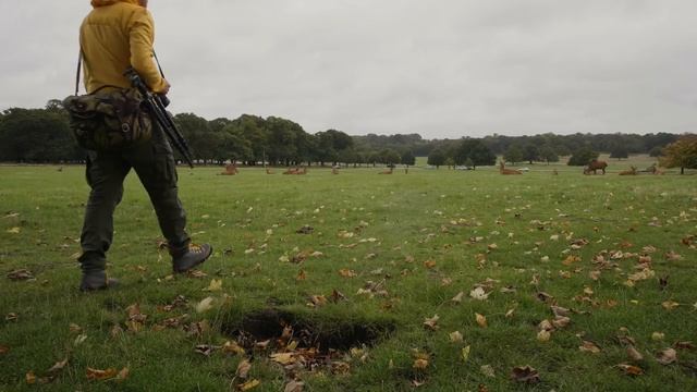 Быстрый первый взгляд на Leica SL2