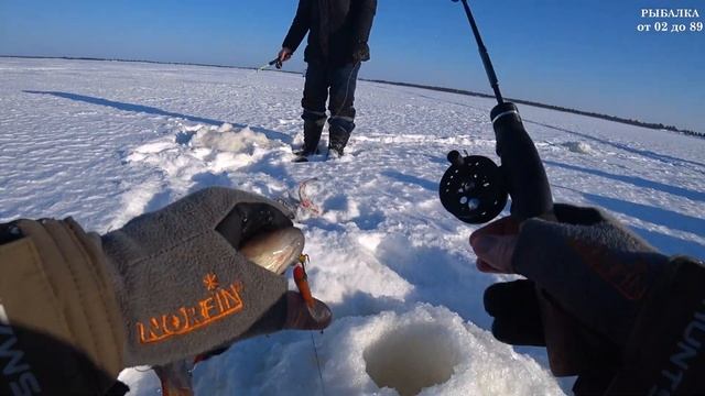 В ЭТОТ РАЗ НА РЫБАЛКУ НА БОЛЬШОЕ ОЗЕРО! ЗИМНЯЯ РЫБАЛКА 2022. смотреть онлайн