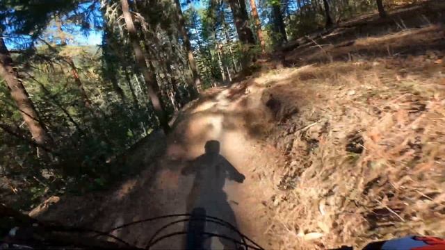 Roller Coaster Ride - Jabberwocky Trail Ashland Oregon смотреть онлайн