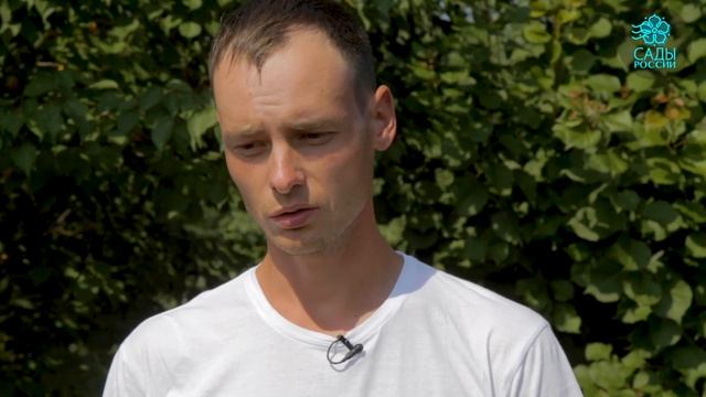 Абрикос Уралец — чемпион по зимостойкости смотреть онлайн