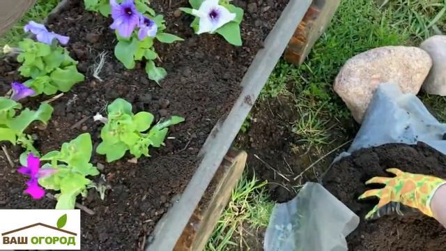 Земля просеянная, плодородный грунт - Ваш Огород смотреть онлайн