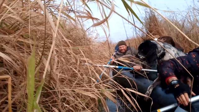 Ухтома в поисках реки смотреть онлайн