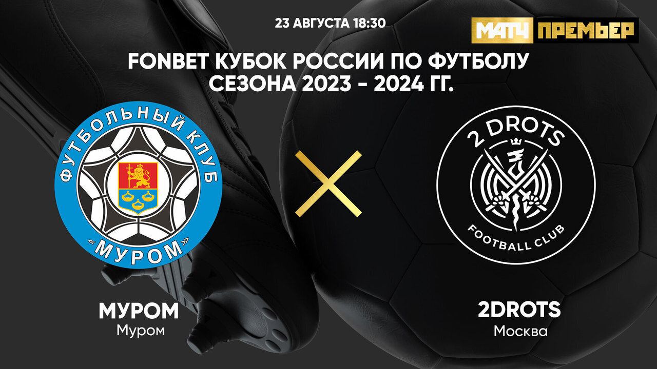 FONBET Кубок России. Муром - 2Drots