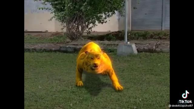 arga menjadi harimau vs singa смотреть онлайн