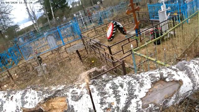 Жесткое падение с дерева