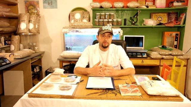 Вырашивание труфеля белого и черного смотреть онлайн