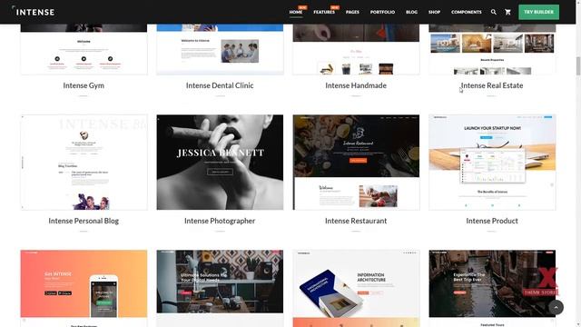 Intense Multipurpose Website Template TMT Bysshe Hiram смотреть онлайн