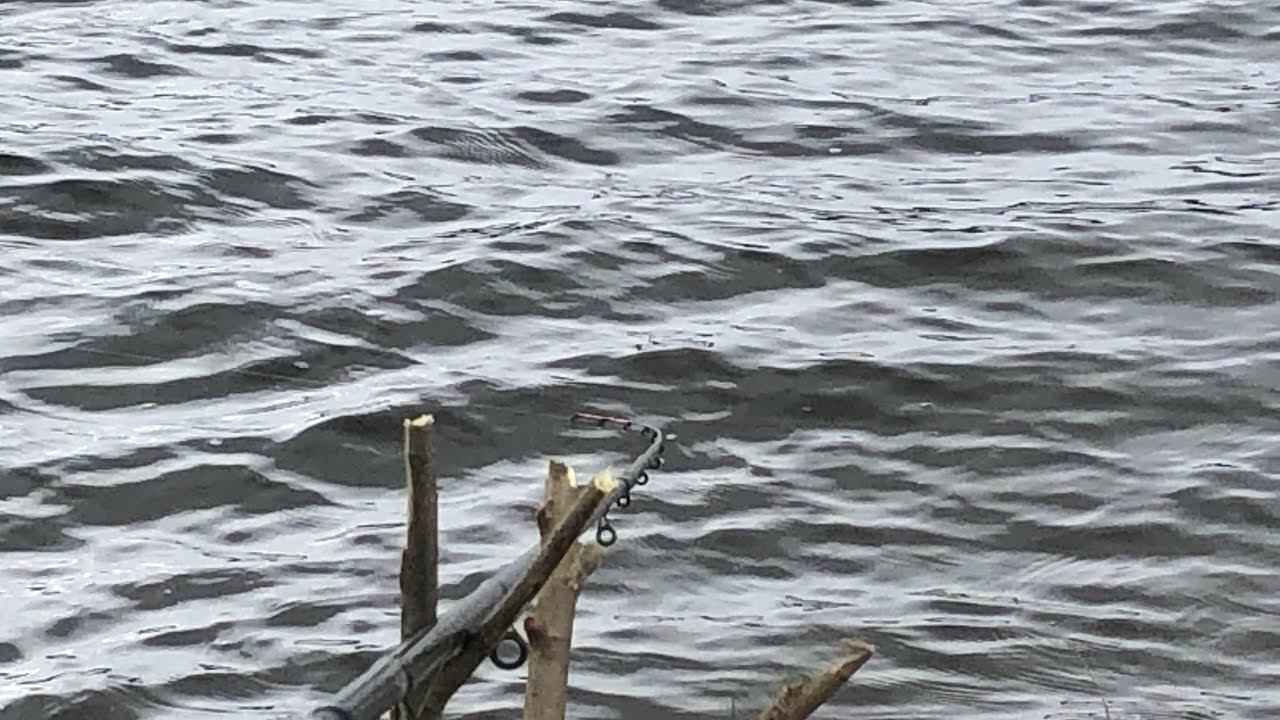 Караси из далёкого детства / карась на фидер в апреле смотреть онлайн