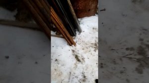 Как установить звёздочку на коробку ваз для гусеничного вездехода