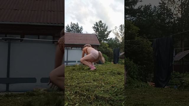 квд❤ смотреть онлайн