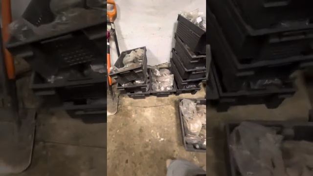 Металлоискатель Спирин обещал поменять на более мощный 300-500 единиц смотреть онлайн