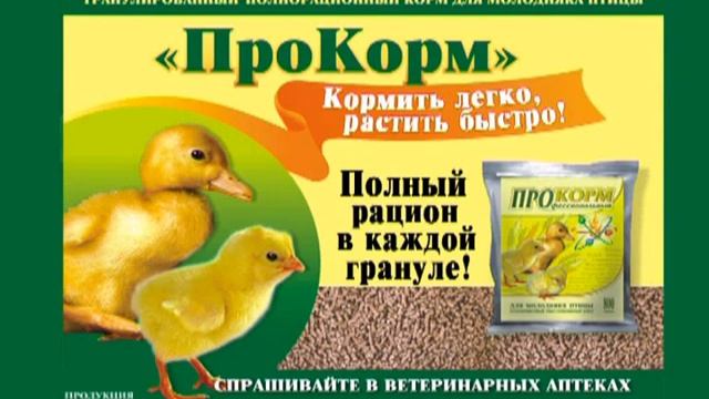 ПроКорм для молодняка с/х птицы смотреть онлайн
