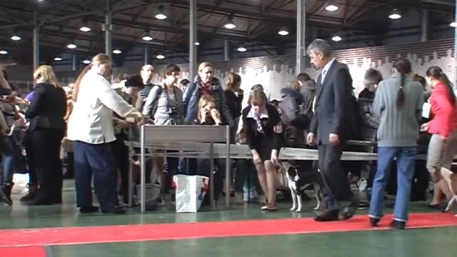 Моно, НКП "БАСЕНДЖИ". Часть 2. смотреть онлайн