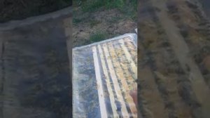 Простейший способ обработки пчелосемей от клеща варроа пихтовым маслом.