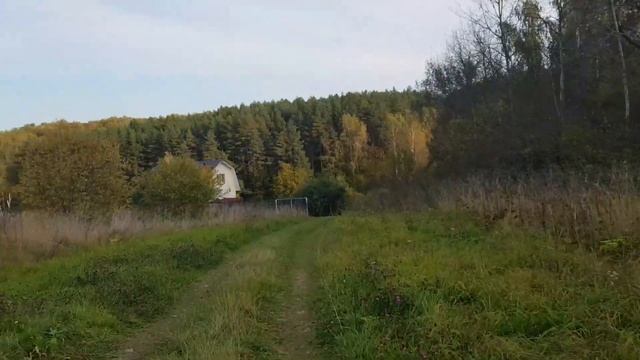 Кусочек дачной жизни в реальном времени. Убила Палец. Сходили в магаз. Козы, Индюки. Дача 10.2020 смотреть онлайн