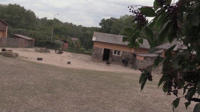 ЗООПАРК в м. РІВНЕ (Zoo Rivne. Ukraine) (3) смотреть онлайн