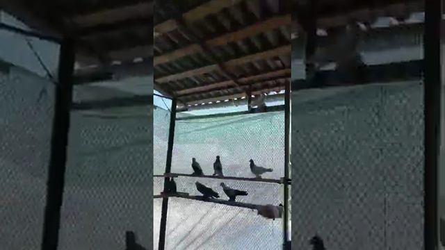 03 смотреть онлайн