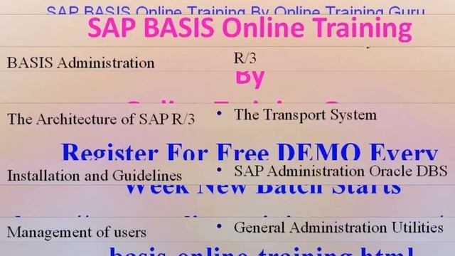 SAP BASIS online training - Online SAP BASIS training -www.onlinetrainingguru.com смотреть онлайн