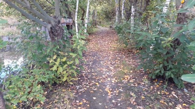 Славянск. 4 октября 2022г. Вечер. смотреть онлайн