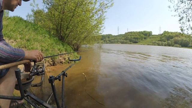 Рыбалка на Оке на фидер днём. Май 2021, Калужская область смотреть онлайн