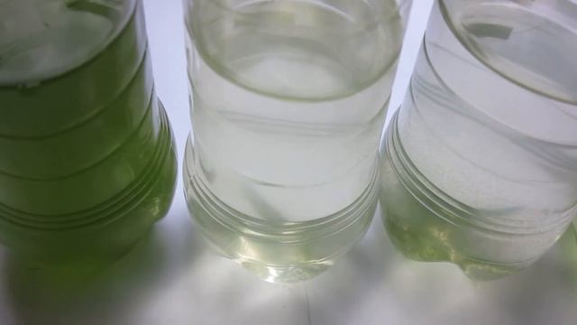 Водоросли, глицерин и закваски смотреть онлайн