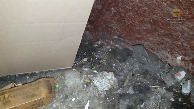 Что (не)люди роняют и выбрасывают в шахту лифта. Замена неудобного датчика смотреть онлайн