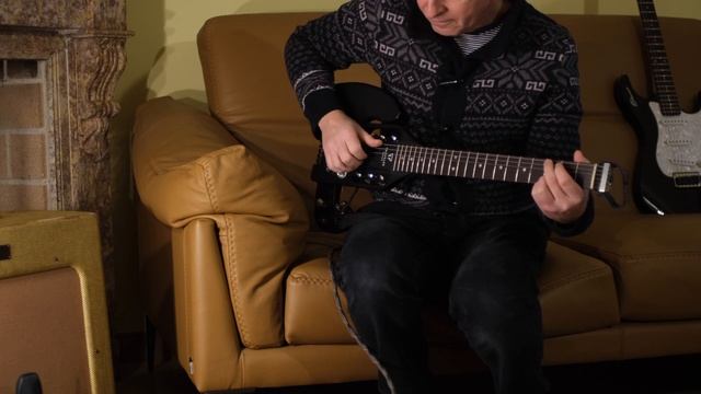 Traveler Guitar Pro-Series Mod-X Fender Pro-Amp 1949 J Rockett Animal Nordvang Custom '83 Drive смотреть онлайн