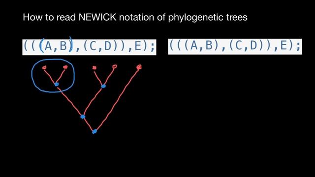 Newick tree format смотреть онлайн