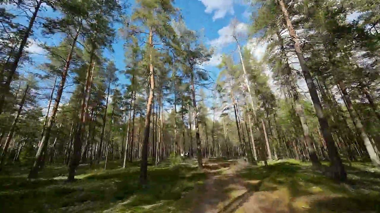 giroflow смотреть онлайн
