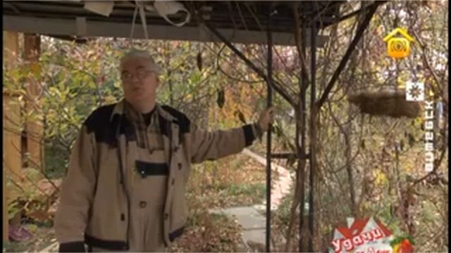 Удачи на даче (28.10.2015) смотреть онлайн