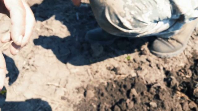 Самый крутой год копа!!! смотреть онлайн