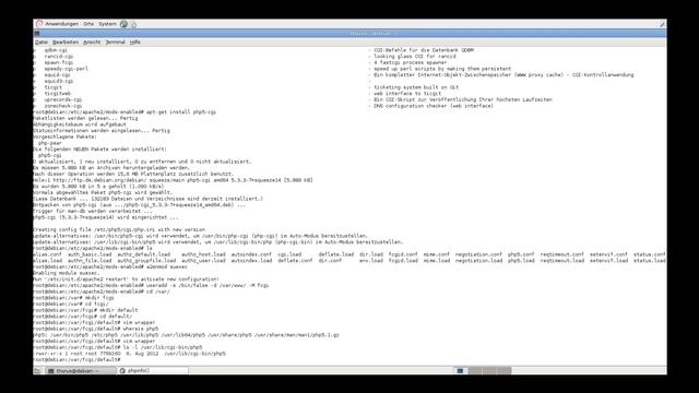 Linux / Debian Fast CGI statt Apache Modul verwenden смотреть онлайн