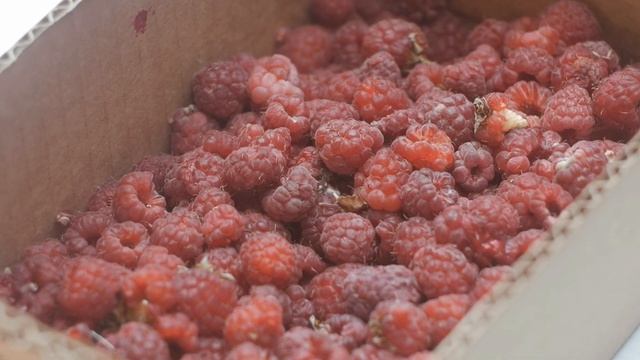 Маленькое счастье смотреть онлайн
