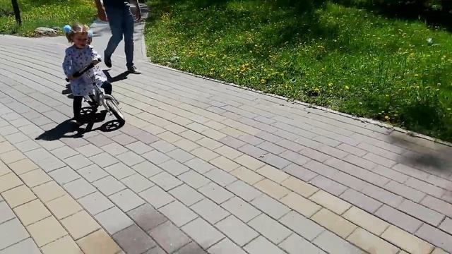 Беговел Strider Pro смотреть онлайн
