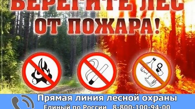 Берегите лес от пожара! смотреть онлайн