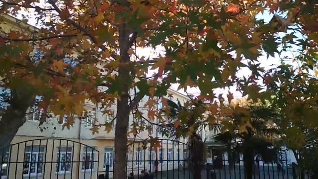 Листопад - музыка осени. смотреть онлайн