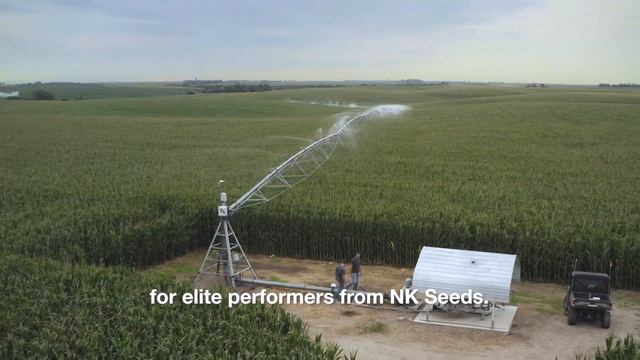 Seed that Delivers the Results смотреть онлайн
