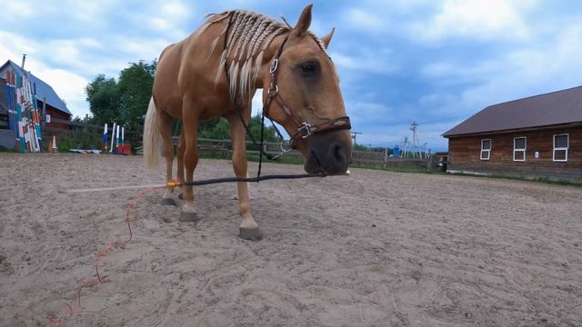 10 Фактов о нашем Помпее смотреть онлайн