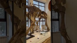 Музей природы и человека