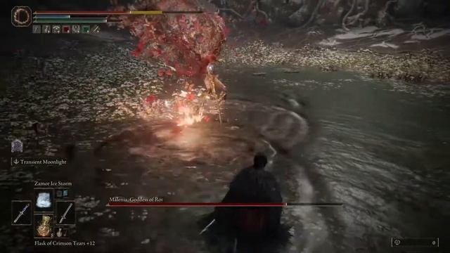 Git Gud 2: Malenia's Rotten Day смотреть онлайн