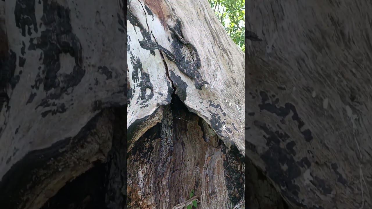 Вновь засияй!!!