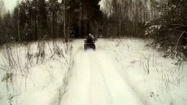В гости к лешему смотреть онлайн