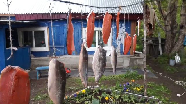 Сахалинская сима. май-июнь 2017. смотреть онлайн