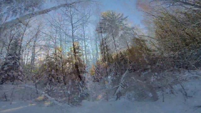 Зимний лес. Зимы ждала, ждала природа. Снег выпал только в январе На третье в ночь. смотреть онлайн