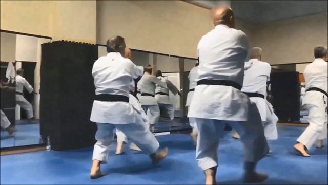Shihan Yavuz OKUR Shotokan KARATE - 26 смотреть онлайн