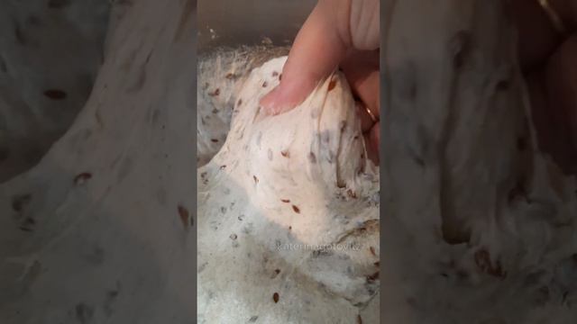 Очень вкусный  ХЛЕБ .Получится у любого.Долго остаётся мягким.