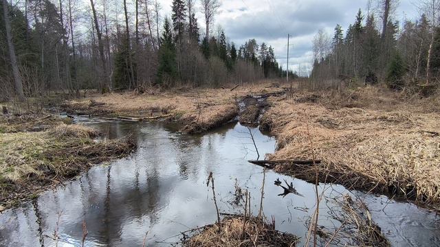 Река Страдинка. ч.15. Апрель 2024 смотреть онлайн