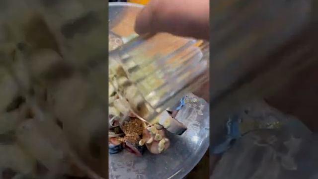 скумбрию маринуем в банке смотреть онлайн